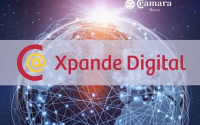 Programa Xpande Digital 2024. Plan de Marketing Digital Internacional.