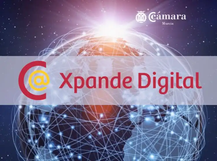 Programa Xpande Digital 2024. Plan de Marketing Digital Internacional.